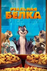 Реальная белка 2013 постер