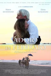 Addio in febbraio постер