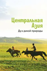 Центральная Азия. Дух дикой природы 2015 постер