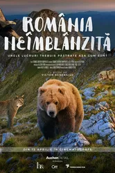 Дикая Румыния 2018 постер