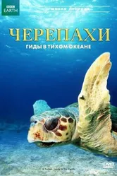 Черепахи: Гиды в Тихом океане 2008 постер