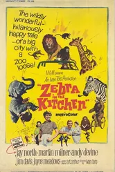 Зебра на кухне 1965 постер