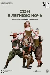 Globe: Сон в летнюю ночь 2014 постер