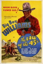 The Law of the 45's постер