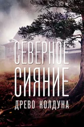 Северное сияние. Древо колдуна. Фильм восьмой 2020 постер