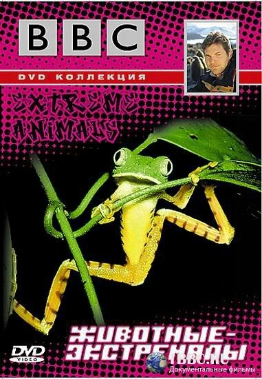 Постер BBC: Животные-экстремалы 2002