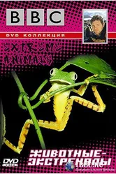 BBC: Животные-экстремалы 2002 постер