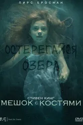 Мешок с костями 2011 постер