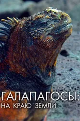 Галапагосы: На краю земли 2018 постер