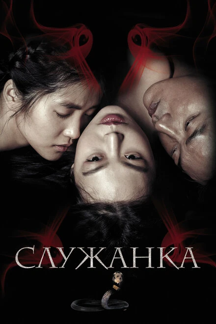Постер Служанка 2016