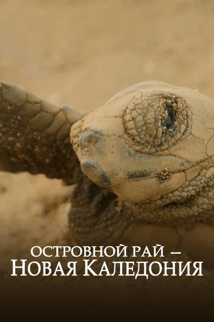 Постер Островной рай – Новая Каледония 2020