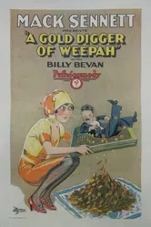 Gold Digger of Weepah постер