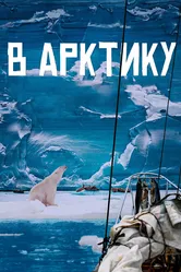 В Арктику 2023 постер