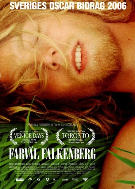 Постер Прощай, Фалькенберг! 2006
