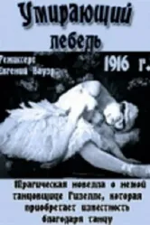 Умирающий лебедь 1916 постер