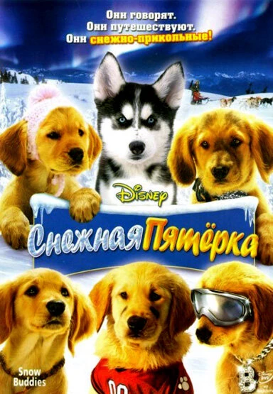Постер Снежная пятерка 2008