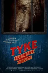 Tyke Elephant Outlaw постер