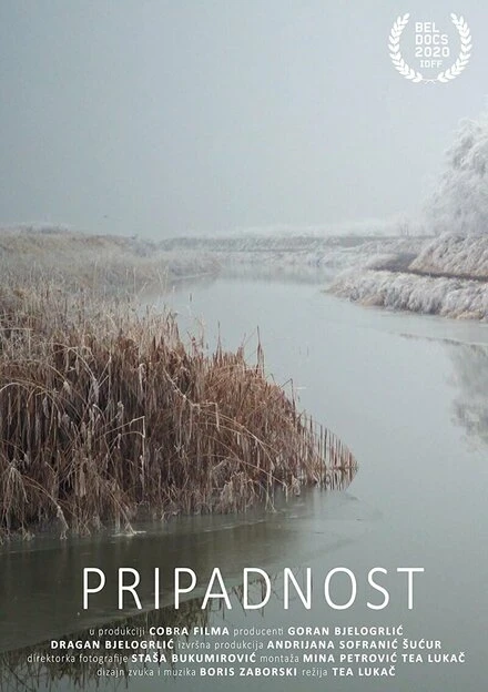 Постер Pripadnost