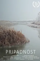 Pripadnost постер