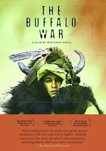 Постер The Buffalo War