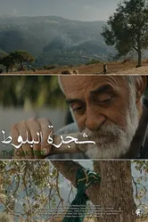 The Oak Tree постер