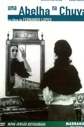 Пчела под дождём 1972 постер