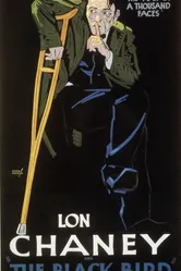 Дрозд 1926 постер