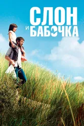 Слон и бабочка 2017 постер