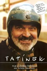 Папа 2004, Чехия постер