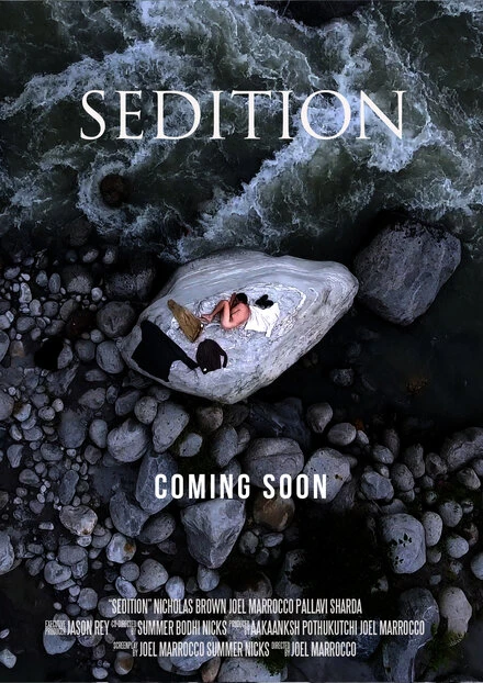 Постер Sedition null