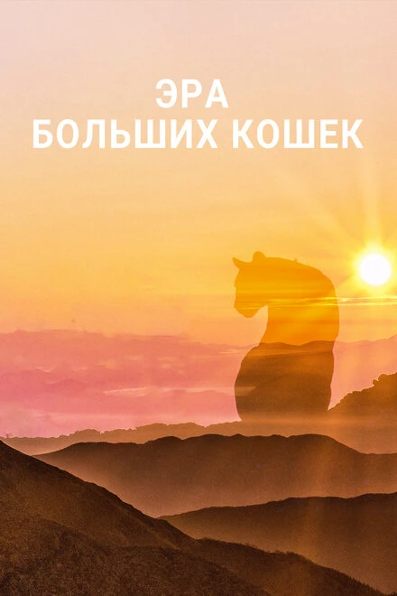 Постер Эра больших кошек 2018
