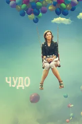 Чудо 2009 постер
