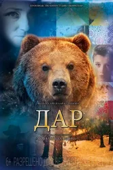 Дар 2013, Россия постер