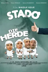 Stado постер