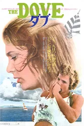 Голубь 1974 постер