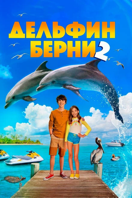 Постер Дельфин Берни 2 2019