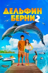 Дельфин Берни 2 2019 постер