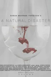A Natural Disaster постер