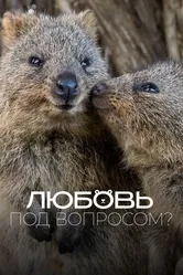 Любовь под вопросом? 2020 постер