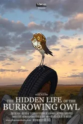 The Hidden Life of the Burrowing Owl постер