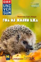 Год из жизни ежа 2009 постер