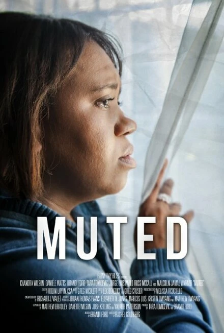 Постер Muted 2014