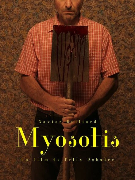 Постер Myosotis