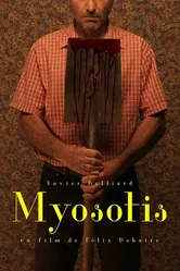 Myosotis постер