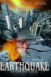 Землетрясение 2005 постер