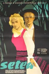 Бурные годы 1960 постер