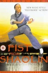 Кулак из Шаолиня 1993 постер