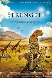 Национальный парк Серенгети 2011 постер