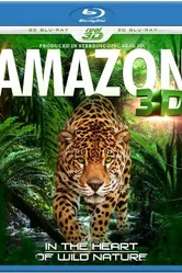 Amazon 3D постер