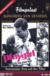 Playgirl 1966 постер
